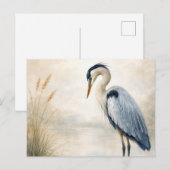 Quiet Marsh Heron | Blue Heron | Postcard ポストカード (正面/裏面)