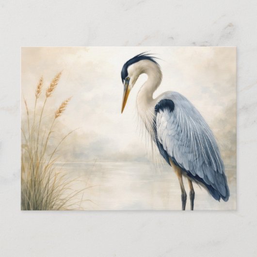 Quiet Marsh Heron | Blue Heron | Postcard ポストカード (正面)