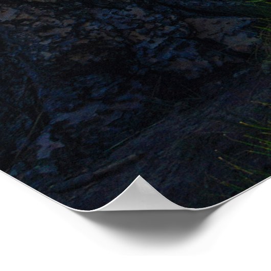 Quiet Meadow Refuge ポスター (角)