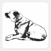 Quiet Ridge Gaze スクエアシール (正面)