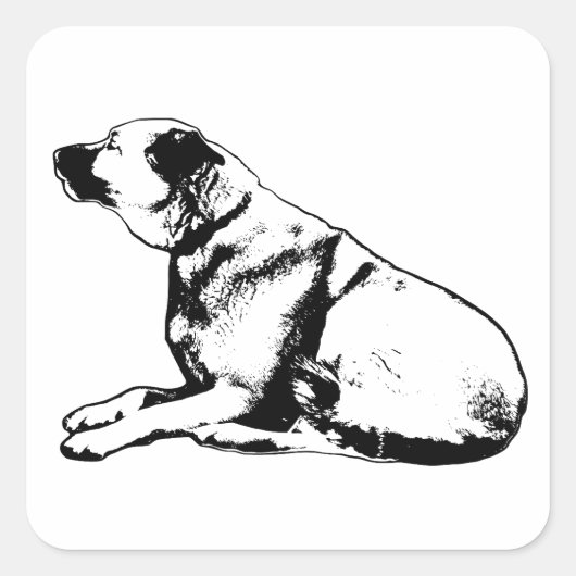 Quiet Ridge Gaze スクエアシール (正面)