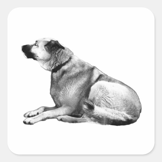 Quiet Slope Sitter スクエアシール (正面)