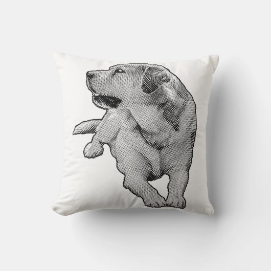 Quiet Sofa, Warm Eyes クッション (正面)