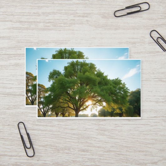 Quiet Time With a Big Tree  名刺 (正面/裏面インサイチュ)