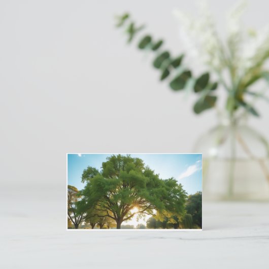 Quiet Time With a Big Tree  名刺 (スタンド正面)