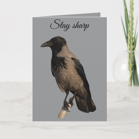 Quiet Watcher The Hooded Crow カード (正面)