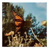 Quiet Wings ポスター (正面)