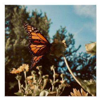 Quiet Wings ポスター