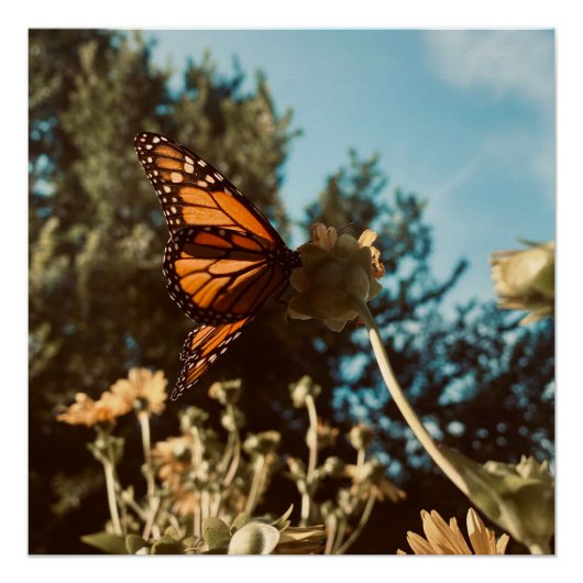 Quiet Wings ポスター (正面)