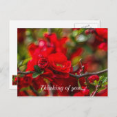 Quince Branch Painterlyの考えOf Youポストカード ポストカード (正面/裏面)