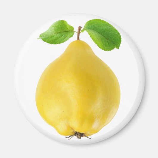 Quince fruit マグネット (正面)