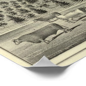 Quinn residence ポスター (角)