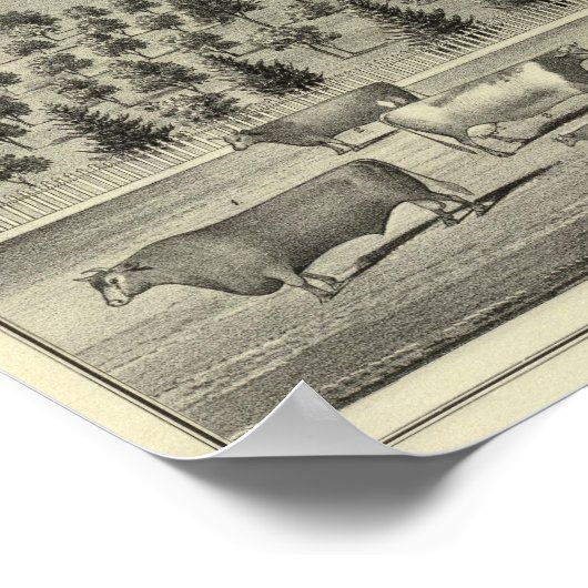 Quinn residence ポスター (角)