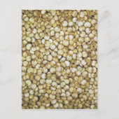 Quinoa grainsマクロ写真 ポストカード (正面)