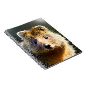 Quintin The Ginger Quokka，ノートブック ノートブック (右側)
