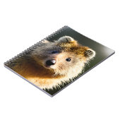 Quintin The Ginger Quokka，ノートブック ノートブック (左側)