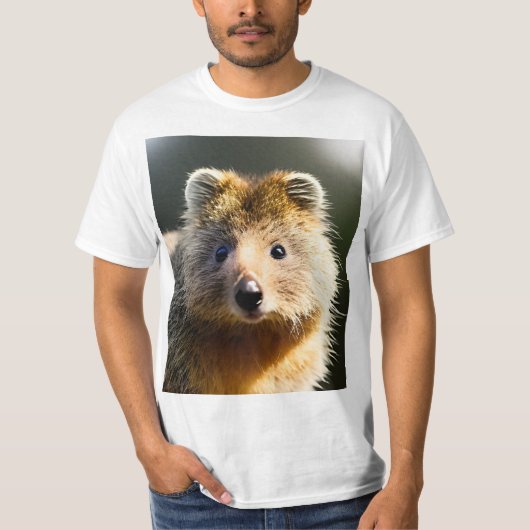 Quintin The Ginger Quokka、メンズバリューTシャツ Tシャツ (正面)