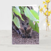 Quokkaの挨拶状 カード (黄色い花)