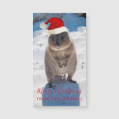 QuokkaオーストラリアHappy Merry Chrimas (正面)