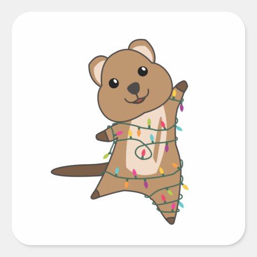 Quokkaクリスマス雪の冬の動物Quokkas スクエアシール (正面)