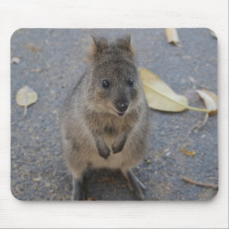 Quokkaマウスパッド マウスパッド
