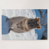 Quokka上のビーチ、1014個 ジグソーパズル (横)