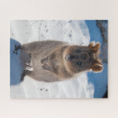 Quokka上のビーチ、520個 ジグソーパズル (横)