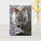 Quokka カード (黄色い花)