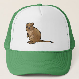 Quokka キャップ