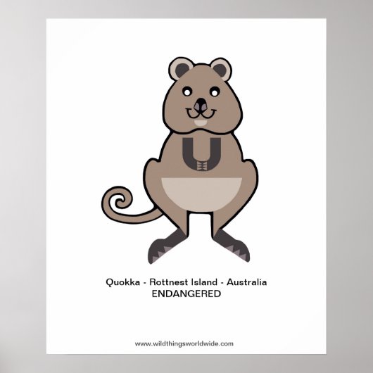 Quokka – ポスター (正面)