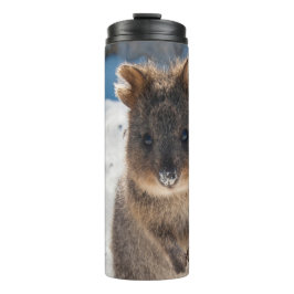 Quokka - Cute Animal on the Beach Australia Blue タンブラー