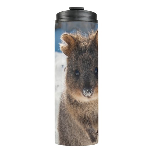 Quokka - Cute Animal on the Beach Australia Blue タンブラー (正面)