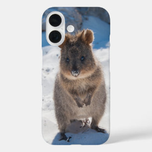 Quokka Happy Animal on theビーチオーストラリア iPhone 16ケース