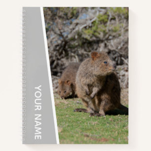 Quokka Happy Cute Animals, Australia,シルバー ノートブック