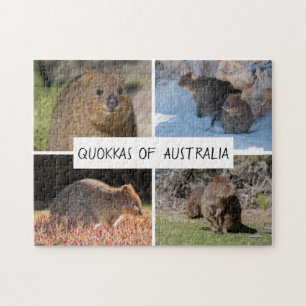 Quokka of Australia, 252点 ジグソーパズル