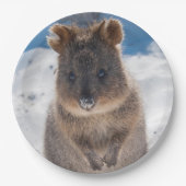 Quokka on the beach Australia, Cute Animal Photo ペーパープレート (正面)