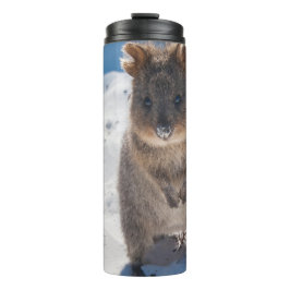 Quokka on the Beach Australia, Pink Accent Girls タンブラー
