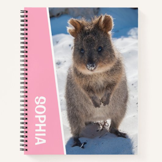 Quokka on the Beach Australia, Pink Accent Girls ノートブック (正面)