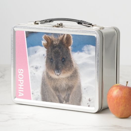 Quokka on the Beach Australia, Pink Accent Girls メタルランチボックス (インサイチュ)