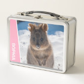 Quokka on the Beach Australia, Pink Accent Girls メタルランチボックス (正面)
