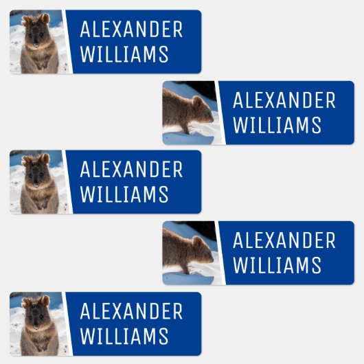 Quokka on the beach Cute Animal Photo Australia ラベル (グループ)