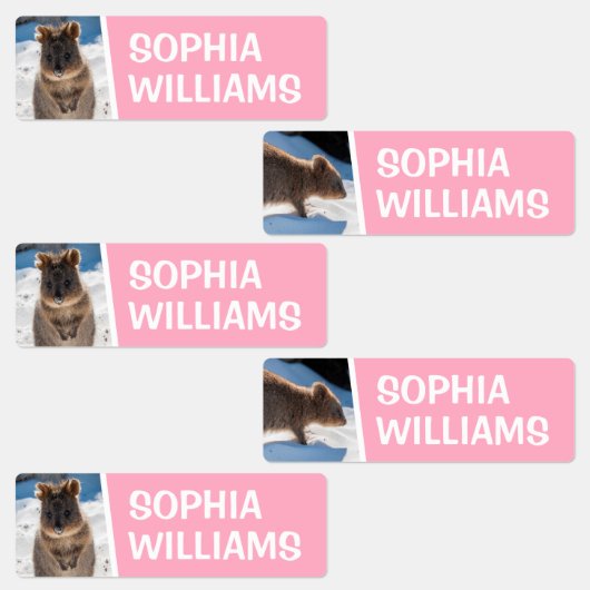 Quokka on the beach Cute Animal Photo Australia ラベル (グループ)