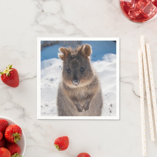 Quokka on the beach in Australia, cute photo スタンダードカクテルナプキン (インサイチュ)