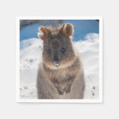 Quokka on the beach in Australia, cute photo スタンダードカクテルナプキン (正面)