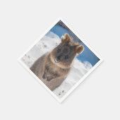 Quokka on the beach in Australia, cute photo スタンダードカクテルナプキン (角)