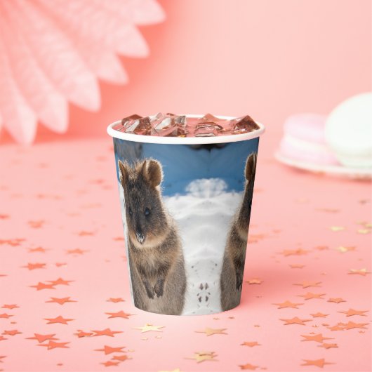 Quokka on the beach in Australia, cute photo 紙コップ (インサイチュ)