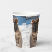 Quokka on the beach in Australia, cute photo 紙コップ (右)