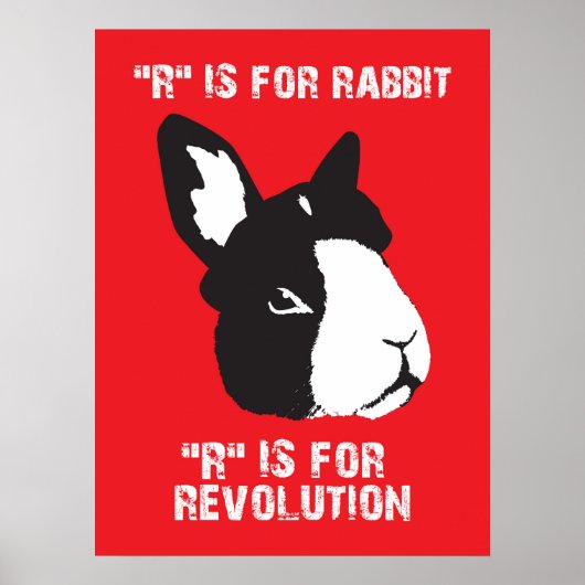 Rが対象 ポスター (正面)