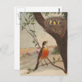 Rはロビンのためです ポストカード (正面/裏面)