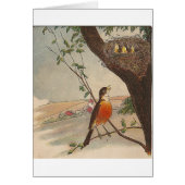 Rはロビン (正面)